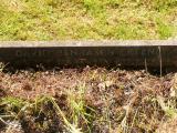 image of grave number 808536